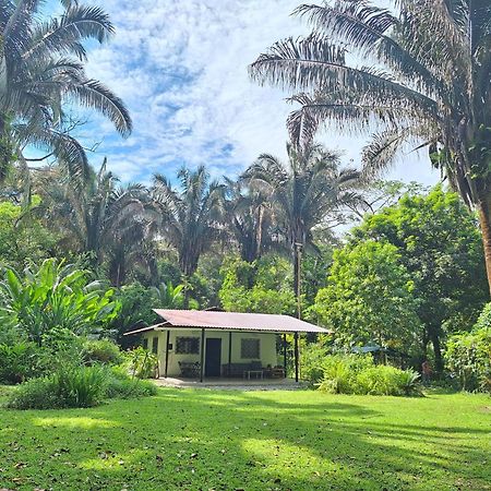Cabo Matapalo Four Monkeys Eco Lodge Jungle & Beach - The House מראה חיצוני תמונה