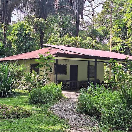 Cabo Matapalo Four Monkeys Eco Lodge Jungle & Beach - The House מראה חיצוני תמונה