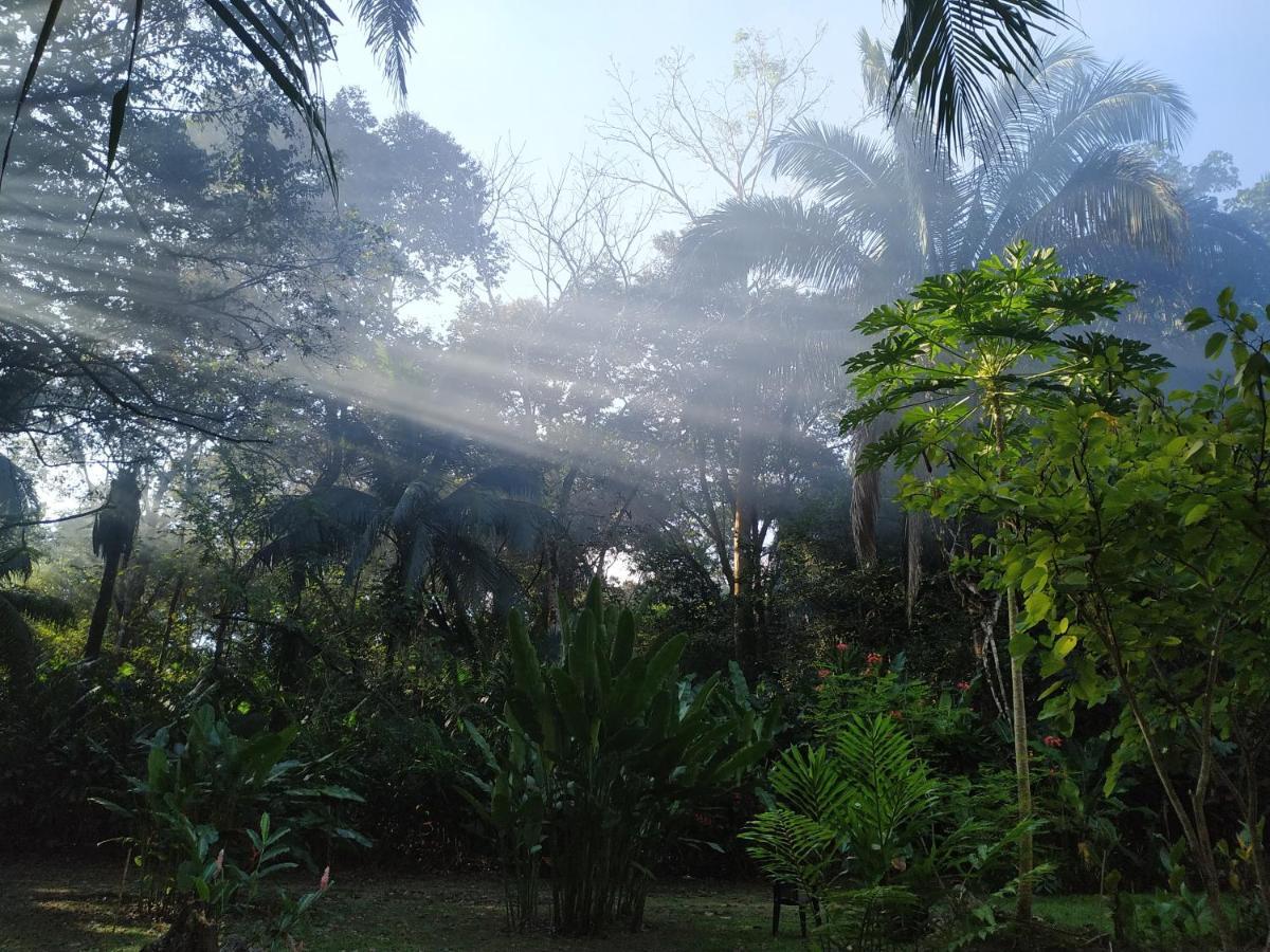 Cabo Matapalo Four Monkeys Eco Lodge Jungle & Beach - The House מראה חיצוני תמונה