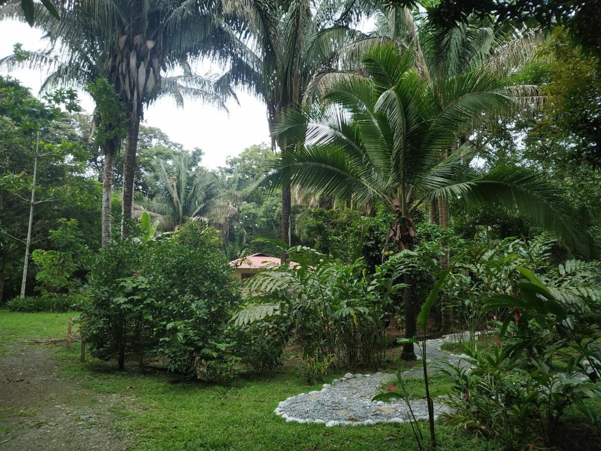 Cabo Matapalo Four Monkeys Eco Lodge Jungle & Beach - The House מראה חיצוני תמונה