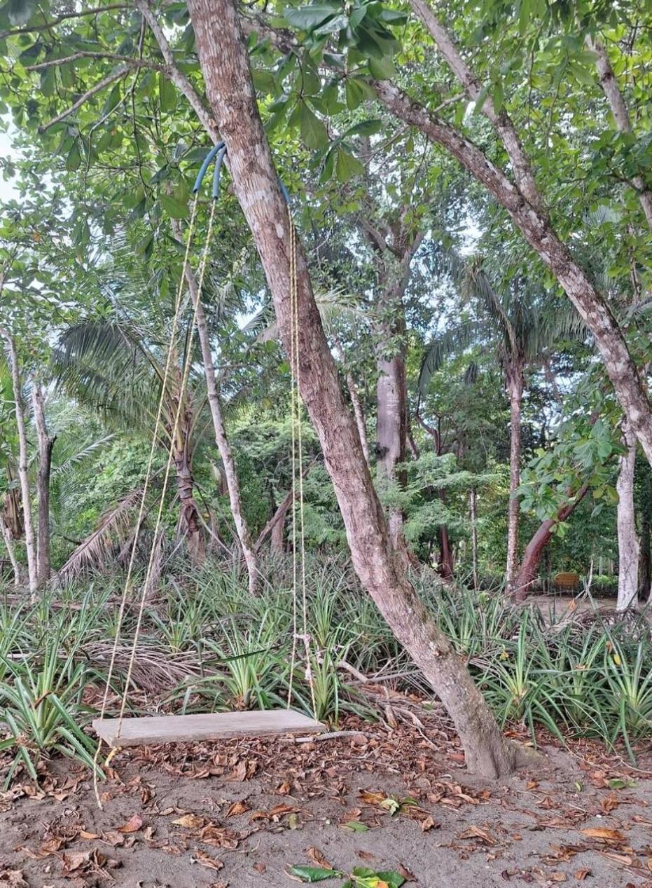 Cabo Matapalo Four Monkeys Eco Lodge Jungle & Beach - The House מראה חיצוני תמונה