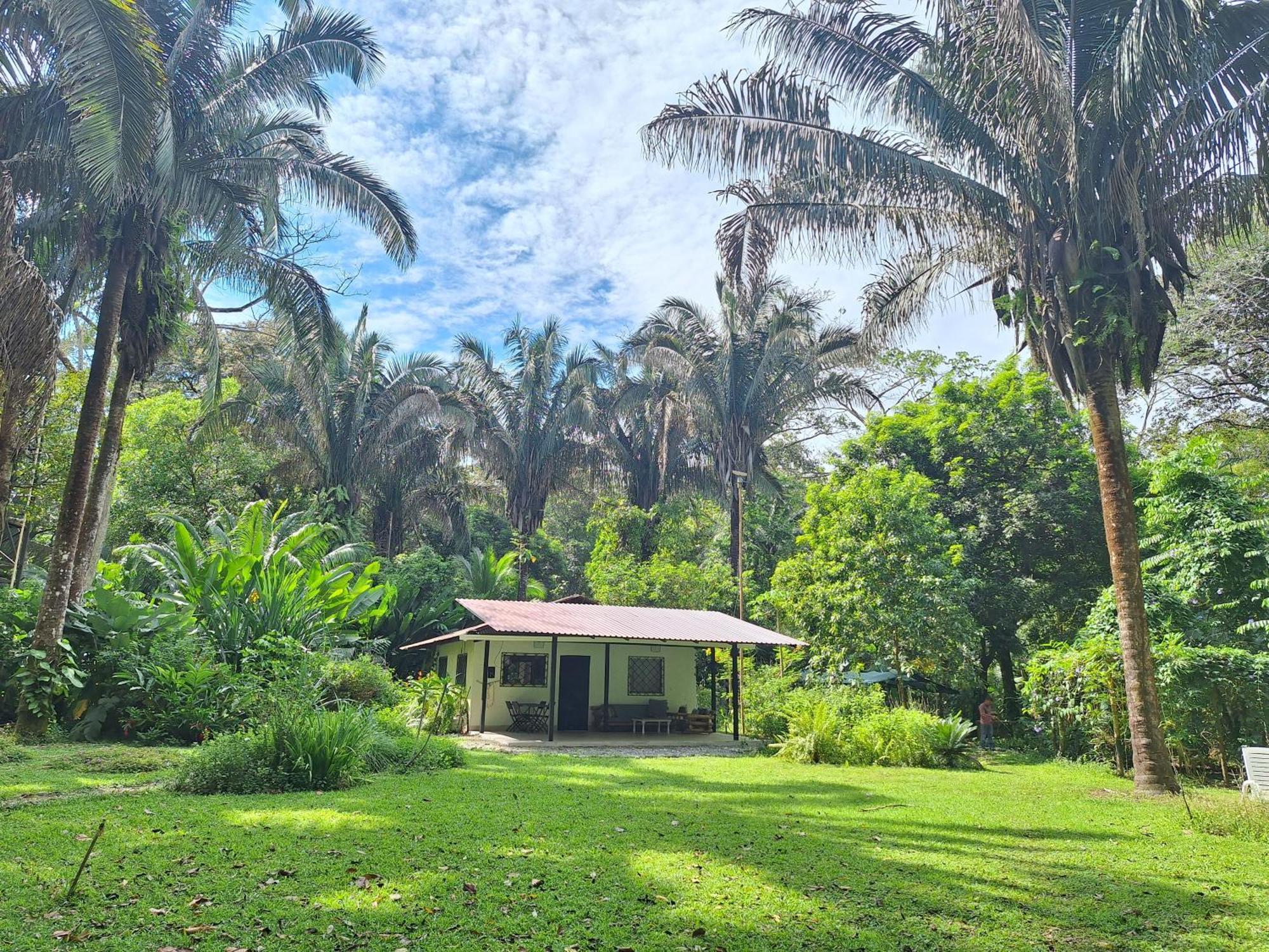Cabo Matapalo Four Monkeys Eco Lodge Jungle & Beach - The House מראה חיצוני תמונה