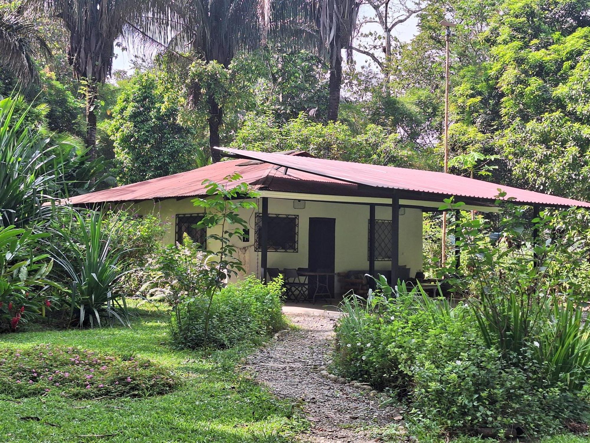 Cabo Matapalo Four Monkeys Eco Lodge Jungle & Beach - The House מראה חיצוני תמונה